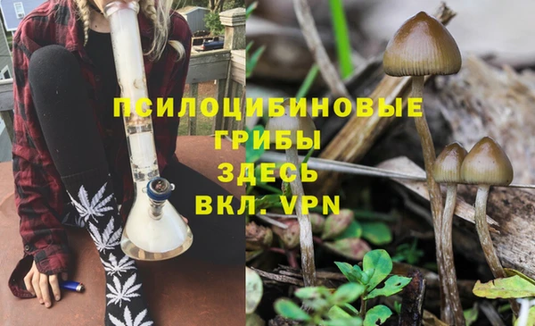 экстази Алзамай