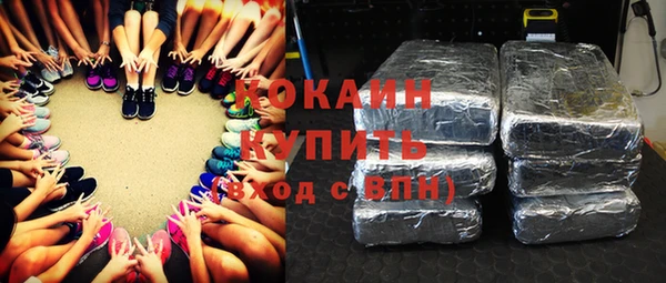 шишки Алексин