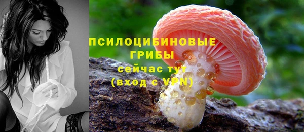 шишки Алексин