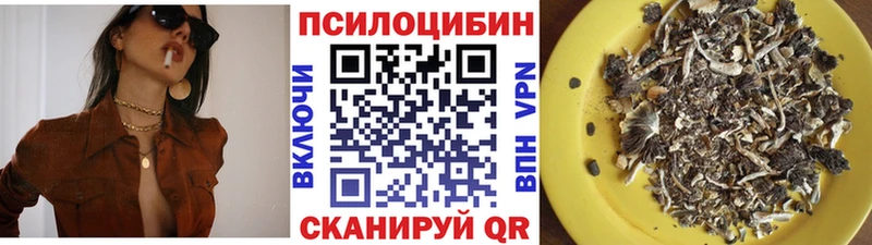 Галлюциногенные грибы Psilocybine cubensis  где купить наркотик  Торопец 